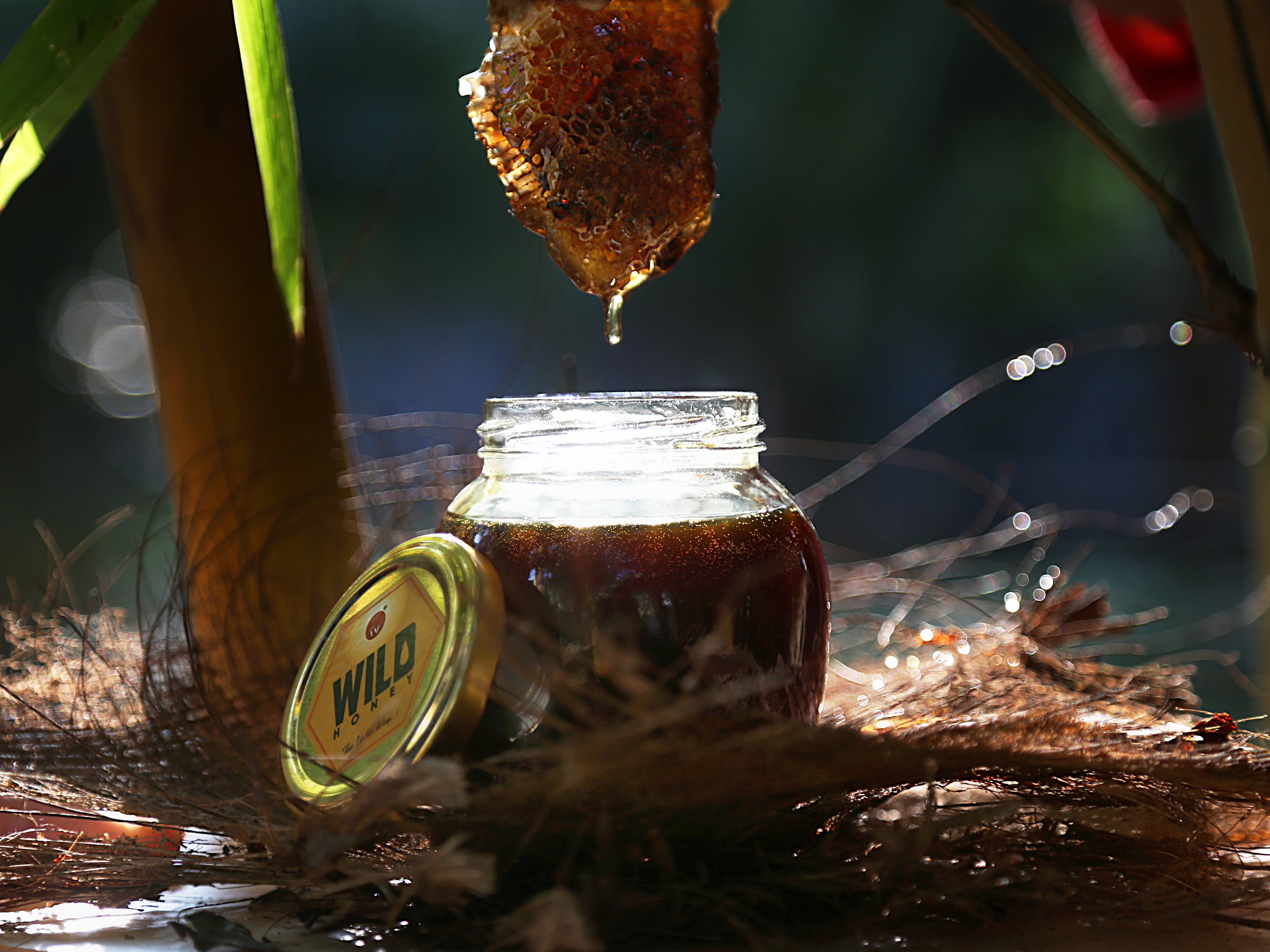 Kerala Wild Forest Honey (450gms)